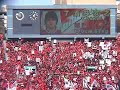 cup urawa