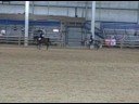 SHN SHUS PB section III SHN SHUS PB section III