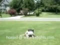 Two Hot Chicks Fight Over Text Messages