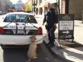 FBI Working Dogs