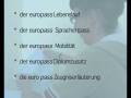 Der Europass Lebenslauf