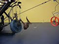 Tinguely machine