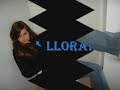 Luis pijo TQTQ