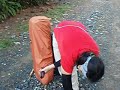 tapulao9