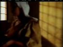 Vermeer's Milkmaid Vermeer's Milkmaid