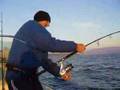 Jigging : Seriole au jig