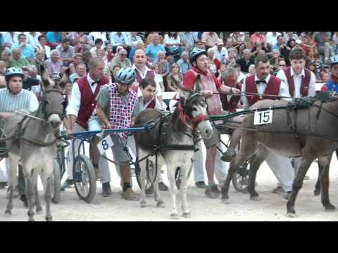 fagagna - Immagini dell'edizione 2011 della Corsa degli Asini di Fagagna,