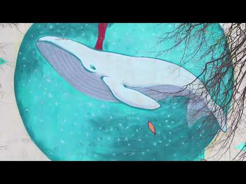 Барановичи день за днем. 11.02.26.