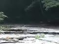 Flat Rock on Sewanee Creek, TN