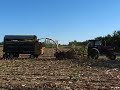 Corn Silage 2007 Corn Silage 2007