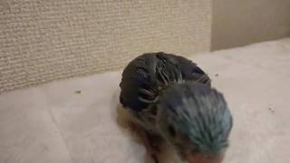 夜中にこっそりと...