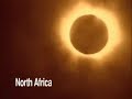 Video do greenpeace para comemorar o dia mundial do ambiente