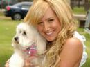 Ashley Tisdale Rocks