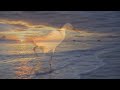 5 of 5 ≈ www.wavesdvd.com ‪≈ Relax Now. Visit our Channel. 8-)‬ AVE MARIA Schubert Gospel Music Classical #5 Instrumental Christian song worship songs for studying hymn relax ocean sounds Musik + HD FLORIDA BEACHES 2 Fort Zachary Taylor State Park Beach, Key West, Florida Keys to...