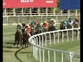 2020071028: 5� carrera (SIDESIDE)