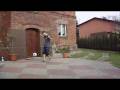 videos de Palle Around The World