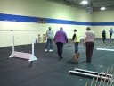 buddy's 2nd open leg