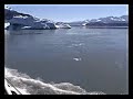 patagonia: dancing with the icebergs