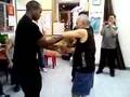 Sifu Ip Chun Chi Sau