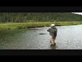 fly-fishing-in-the-northern-rockies-rainbow-trout.html