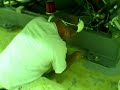 Joe Pullaro Inc. Epoxy Removal at Lakeland Airport Joe Pullaro Inc. Epoxy Removal at Lakeland Airport