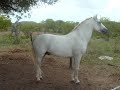 Haras Entre Rios