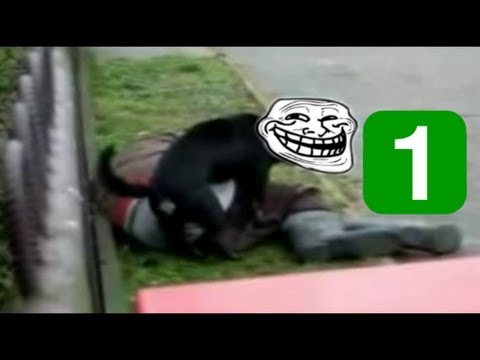 Imagen de previsualización de YouTube
