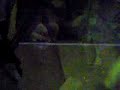 Thumbnail #3