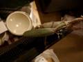 Praying mantises mating