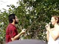 OQuarto das Cinzas com Diogo  - \"Circulares\" (Jambolada 07)
