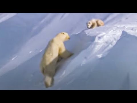 Imagen de previsualización de YouTube
