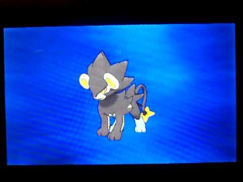how to evolve pokemon after pressing b