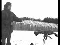 Critter cams reveal animal secrets