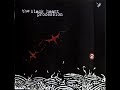 The Black Heart Procession - A light So Dim