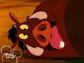 timon   pumbaa weight gain