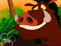 timon   pumbaa weight gain