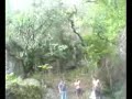 talpa de paseo.WMV