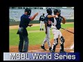 Baseball Umpire Resume