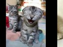LAISSER MOI DANSER - DALIDA