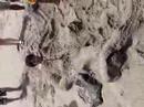 Merman's release at Kenting