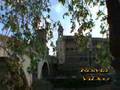 videos de l'isola tiberina