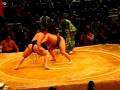 videos de Yokozuna vs Beckham