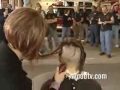 rapada ( shavehead ) [32]