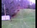 Dalton wrecking a four-wheeler.