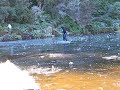 Man falls through thin ice on pond