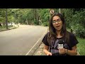 Imagem do vídeo