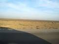 videos de Dust Bowl and NPR
