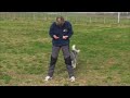Akiak: malamute in addestramento Akiak: malamute in addestramento