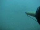 Ricciola Marco Dada Pesca Apnea
