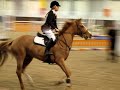 Rose at Addington - Bubbles and Ella